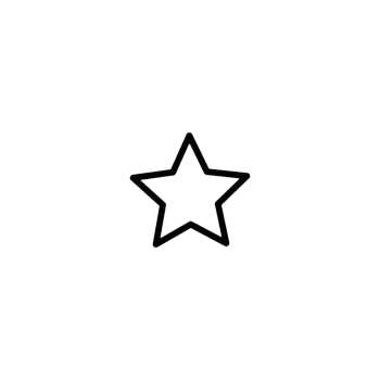 Why Choose Us Icon