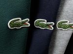LACOSTE HOODIE - Image 16