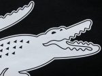 LACOSTE HOODIE - Image 18