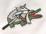 LACOSTE POLO - Image 11