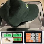 LACOSTE HAT - Image 2